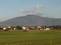Magura